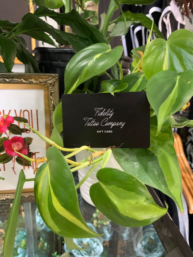 Gift Cards Fidelity Tattoo Custom Tattooing Curated Piercing